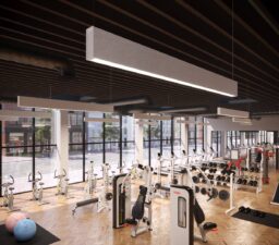 BOOK_FL_2.5_Gym2